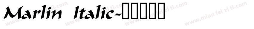 Marlin Italic字体转换